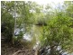 Lot 9 Mullumbimby Road, Mullumbimby NSW 2482