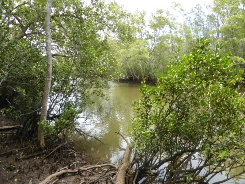 Lot 9 Mullumbimby Road, Mullumbimby NSW 2482
