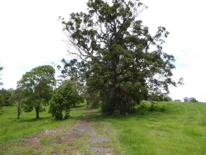 Lot 9 Mullumbimby Road, Mullumbimby NSW 2482