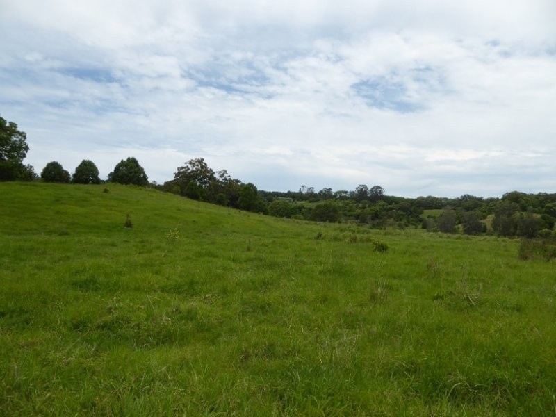 Lot 9 Mullumbimby Road, Mullumbimby NSW 2482