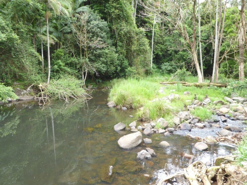 171 Upper Wilsons Creek Road, Wilsons Creek NSW 2482