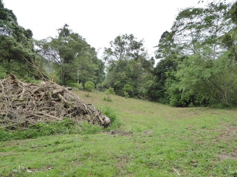 171 Upper Wilsons Creek Road, Wilsons Creek NSW 2482