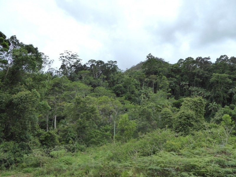 171 Upper Wilsons Creek Road, Wilsons Creek NSW 2482