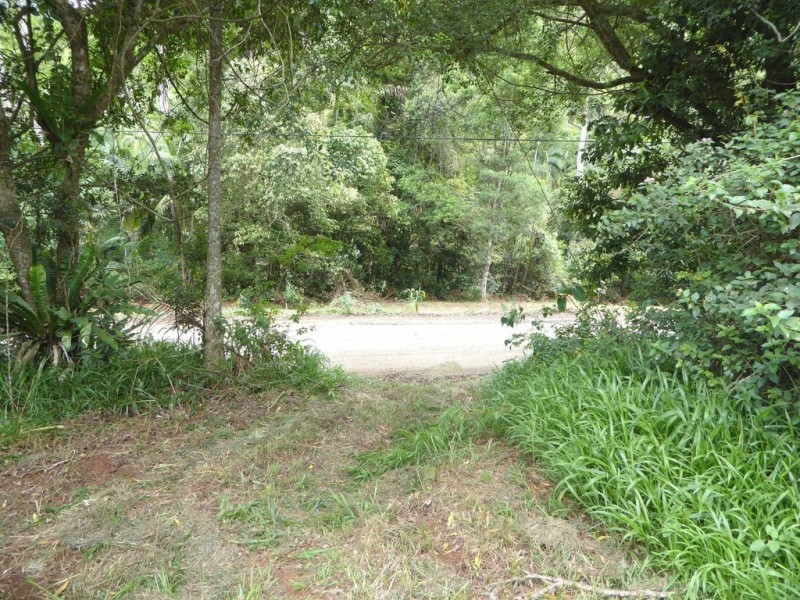 171 Upper Wilsons Creek Road, Wilsons Creek NSW 2482