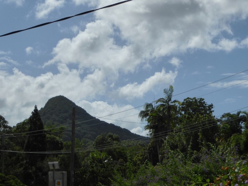 12 Murwillumbah Rd, Mullumbimby NSW 2482