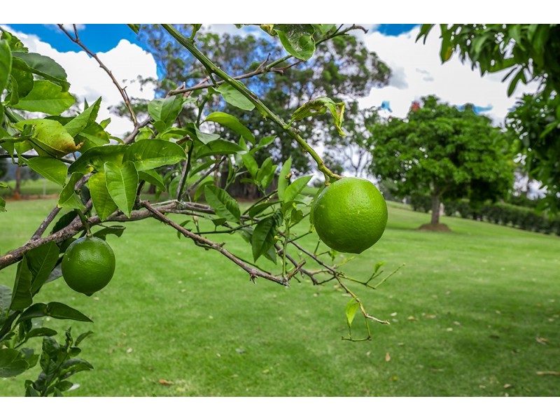 63 Myocum Downs Dr, Myocum NSW 2481