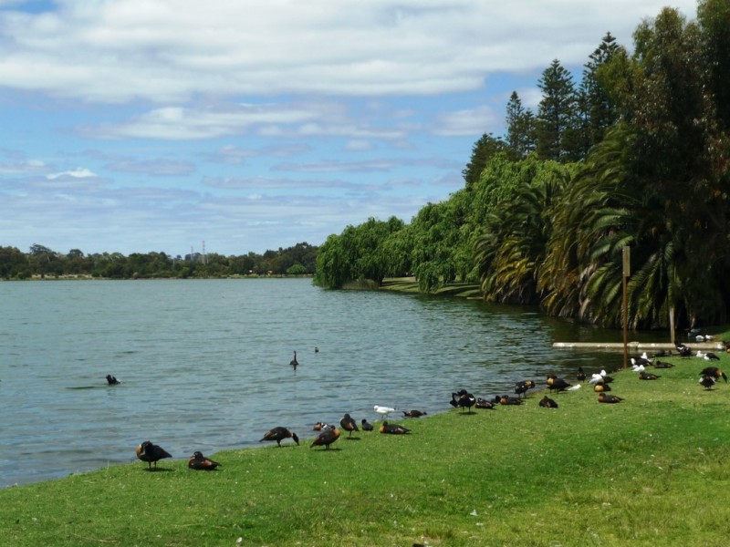 49 Pollard Street, Glendalough WA 6016