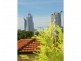 5B Lawrence Avenue, West Perth WA 6005