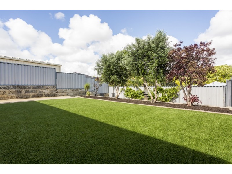 13 Milroy Street, Willagee WA 6156