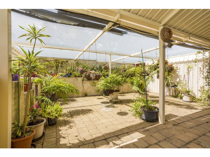 12 Petterson Ave, Samson WA 6163