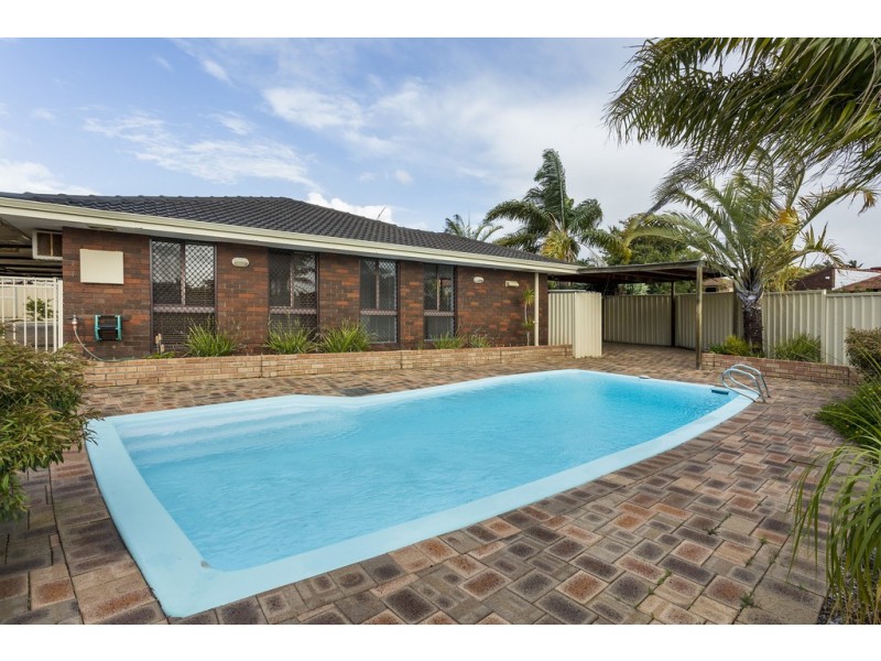 19 Passey Place, Kardinya WA 6163