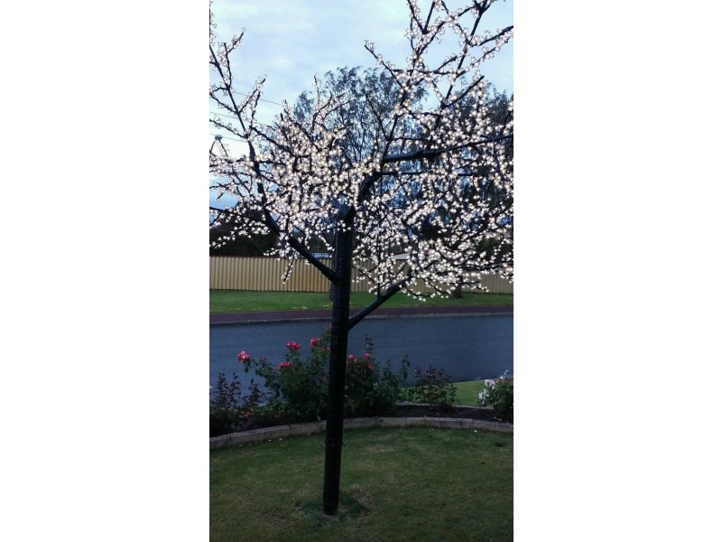 39 Catspaw Ave, Beeliar WA 6164