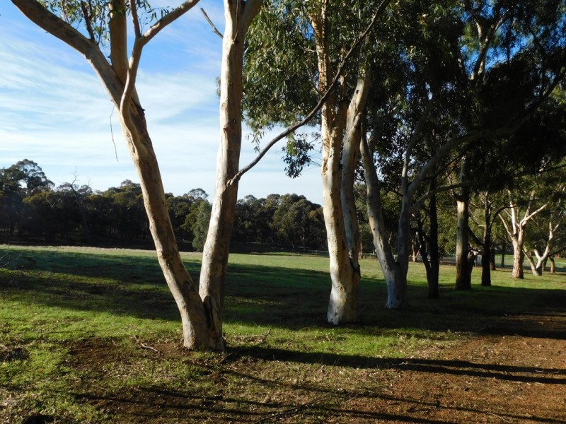 301 Bodeguero Way, Wundowie WA 6560