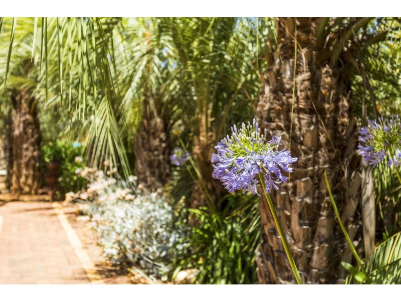 301 Bodeguero Way, Wundowie WA 6560