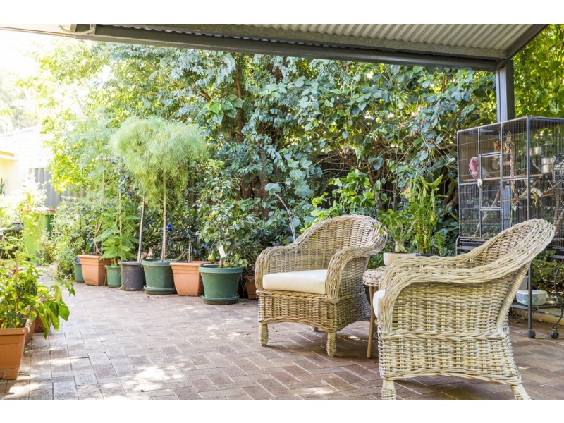 146A Ardross St, Mount Pleasant WA 6153