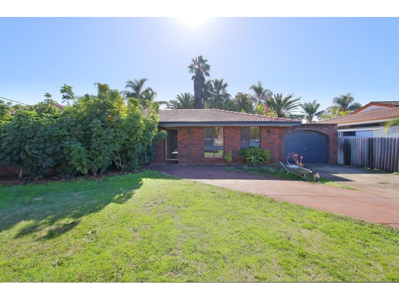 41 Hibbertia Crescent, Riverton WA 6148