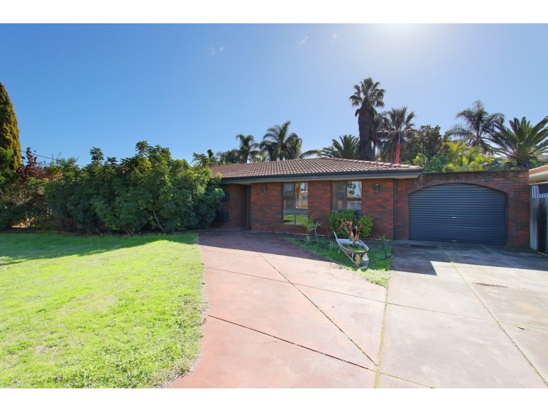 41 Hibbertia Crescent, Riverton WA 6148