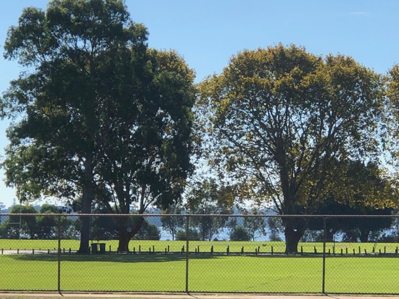 7/81 Holman Street, Alfred Cove WA 6154