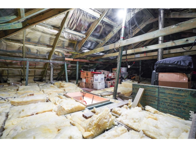 19 Tyers Way, Kardinya WA 6163