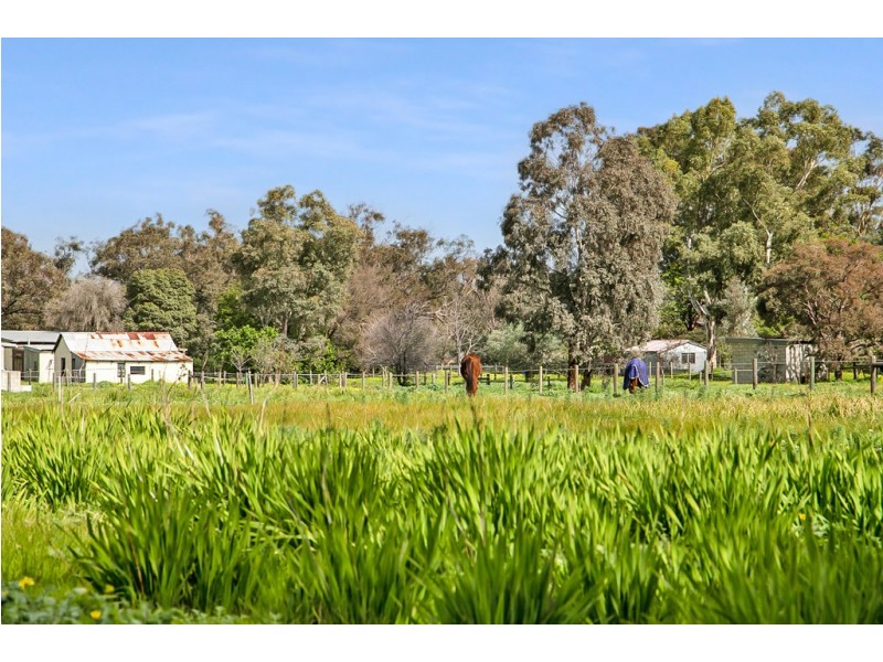 62 Staniland Street, Orange Grove WA 6109