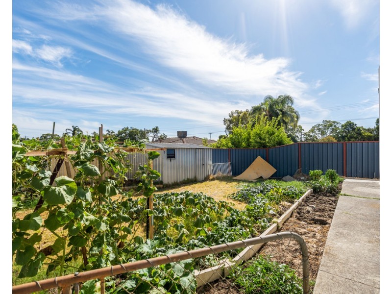 3 Petry Street, Langford WA 6147