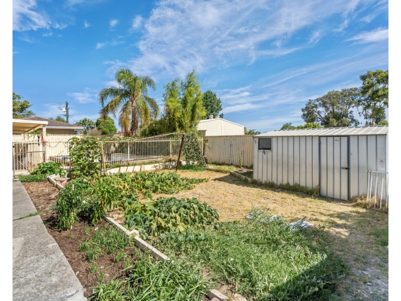 3 Petry Street, Langford WA 6147