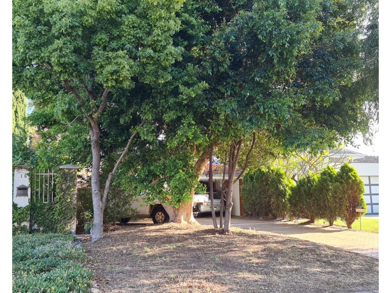 14B Coldwells Street, Bicton WA 6157