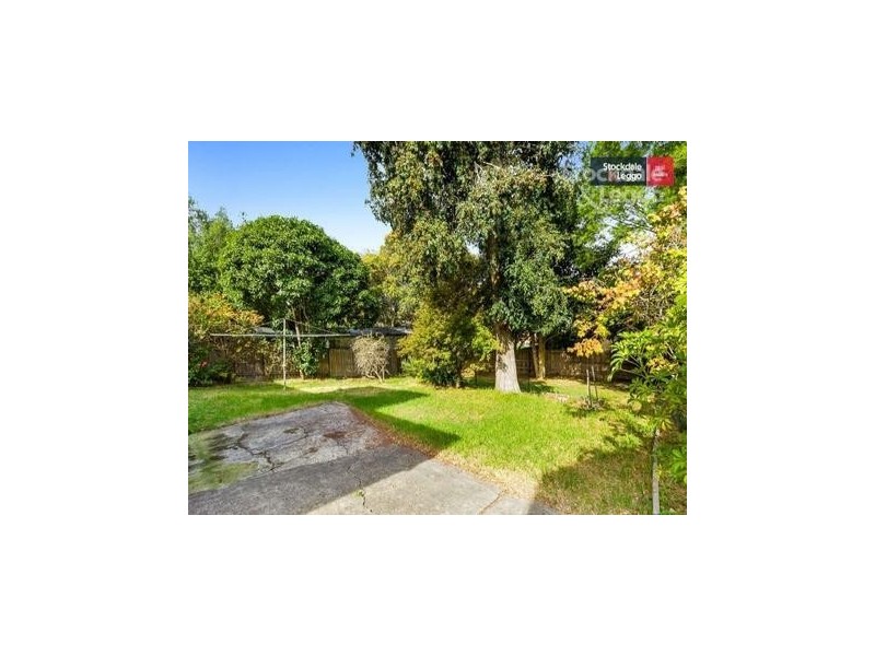 10 Aldinga Street, Blackburn South VIC 3130