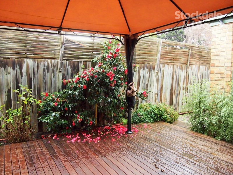 3 Vicki Street, Blackburn South VIC 3130