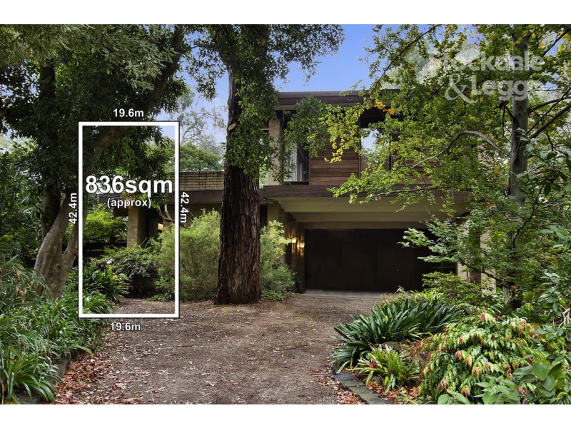 19 Deanswood Road, Forest Hill VIC 3131