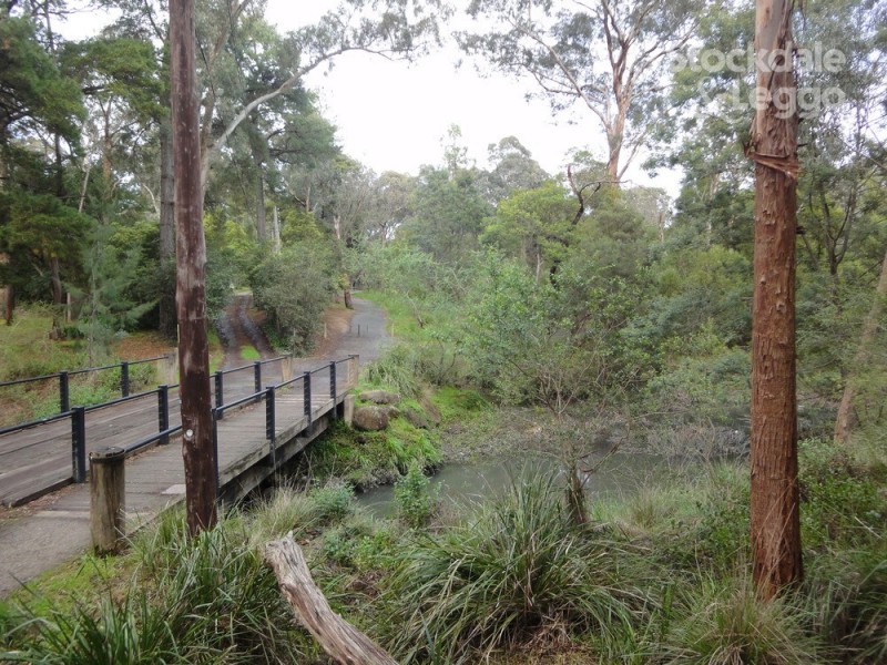 19 Deanswood Road, Forest Hill VIC 3131