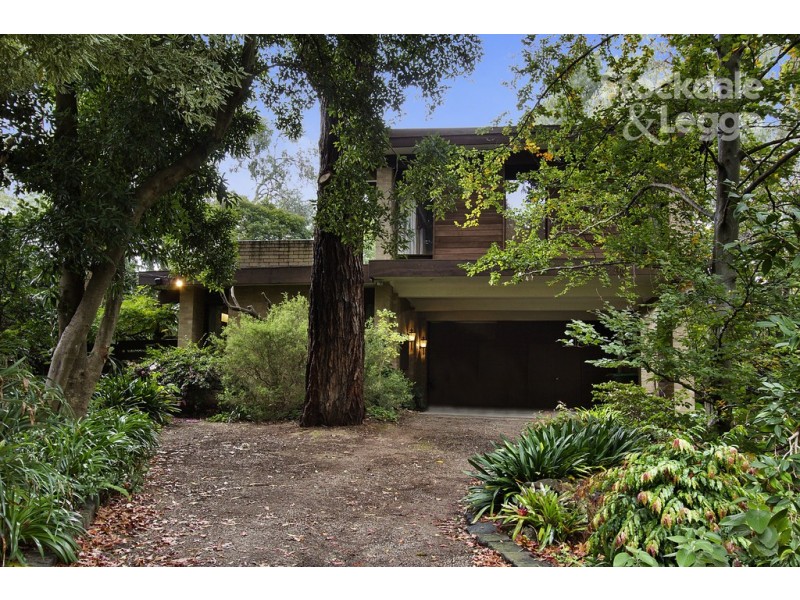 19 Deanswood Road, Forest Hill VIC 3131