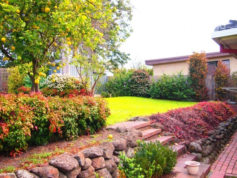 8 Crockerton Court, Blackburn South VIC 3130