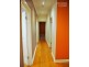 10 Patricia Road, Blackburn VIC 3130