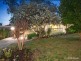 9 Halls Parade, Mitcham VIC 3132