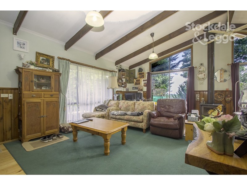 80 Kelly and Mosses Road, Korumburra VIC 3950