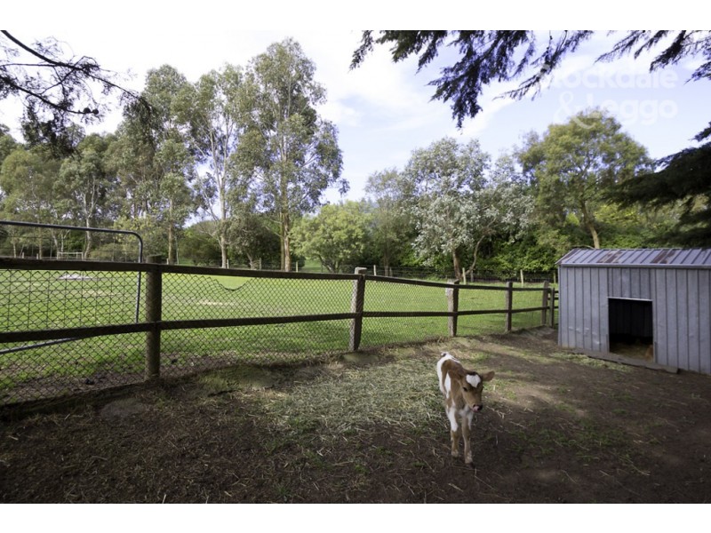 80 Kelly and Mosses Road, Korumburra VIC 3950