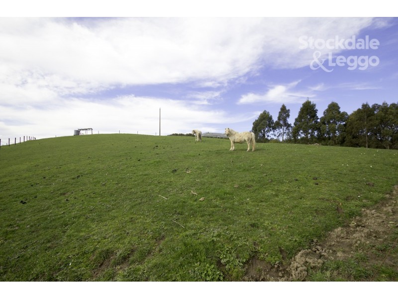 80 Kelly and Mosses Road, Korumburra VIC 3950