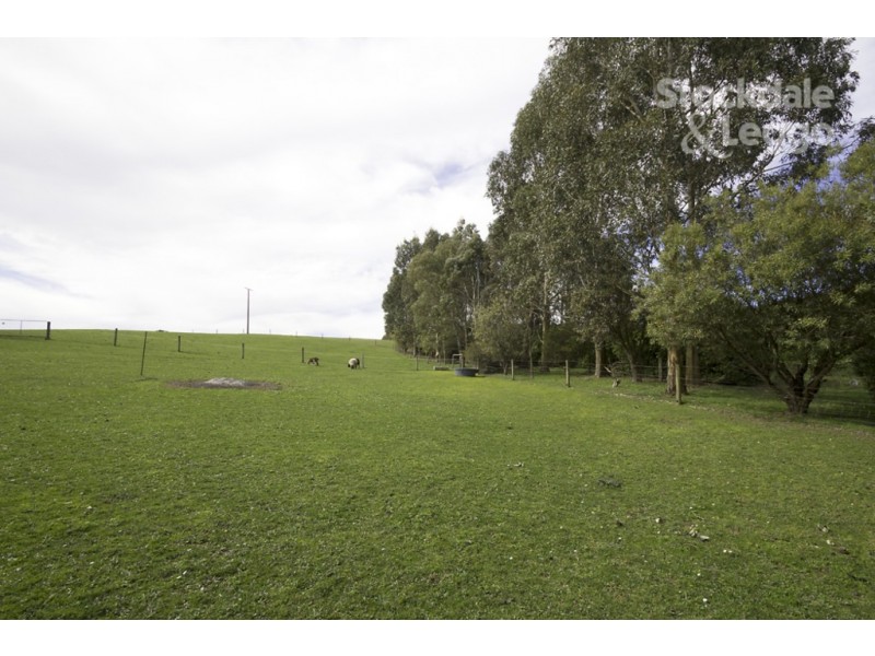 80 Kelly and Mosses Road, Korumburra VIC 3950