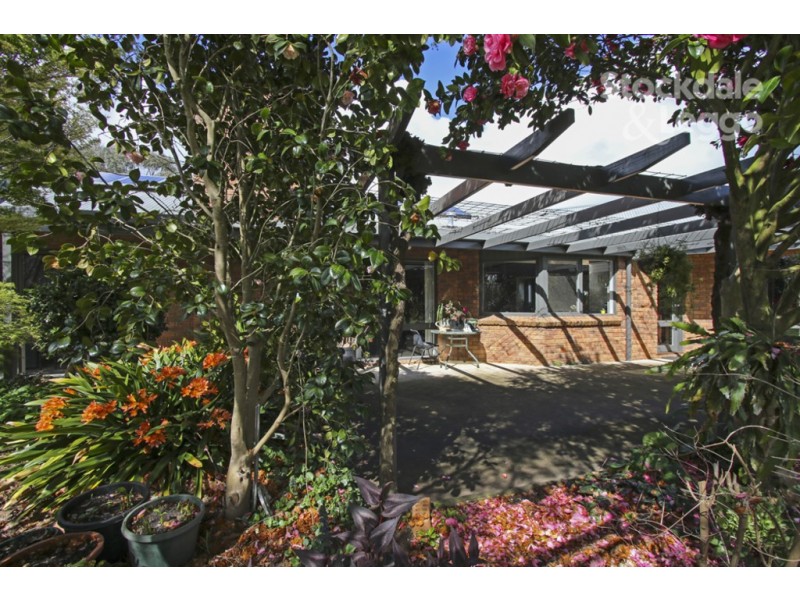 165 Racecourse Road, Leongatha VIC 3953