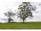 Lot 1 Barnes Road, Kardella South VIC 3950