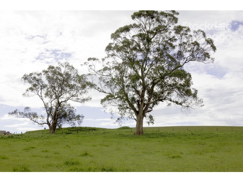 Lot 1 Barnes Road, Kardella South VIC 3950