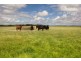 1877 Inverloch-Venus Bay Road, Tarwin Lower VIC 3956