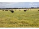 1877 Inverloch-Venus Bay Road, Tarwin Lower VIC 3956