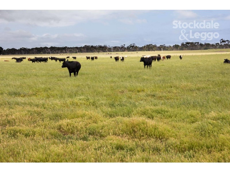 1877 Inverloch-Venus Bay Road, Tarwin Lower VIC 3956