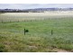 1877 Inverloch-Venus Bay Road, Tarwin Lower VIC 3956