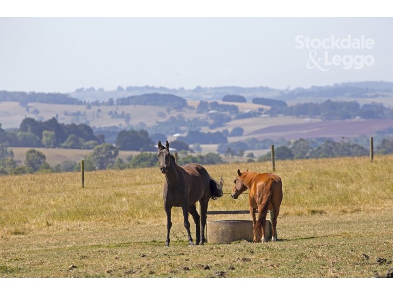 65 Timmins Estate Road, Leongatha VIC 3953