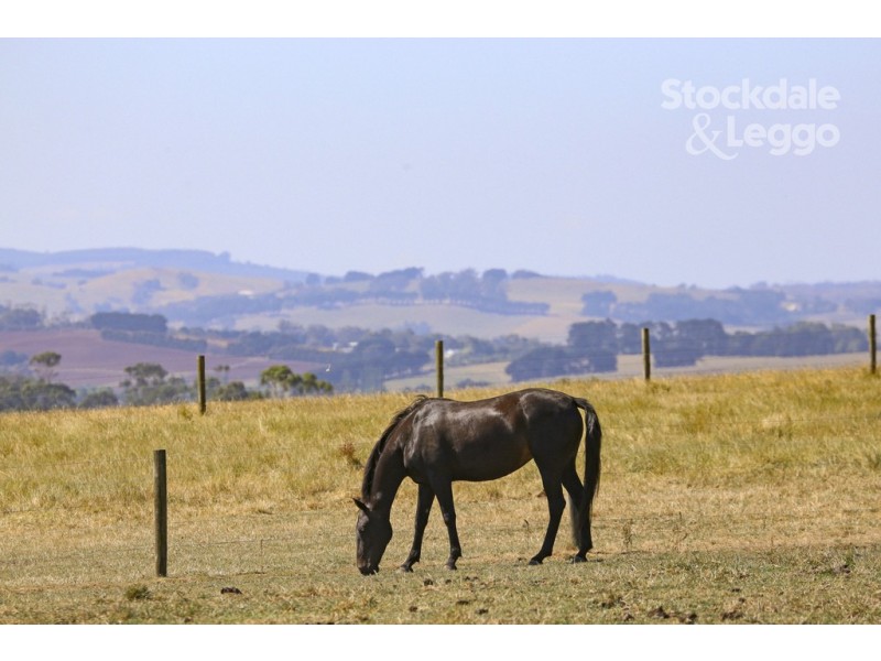 65 Timmins Estate Road, Leongatha VIC 3953