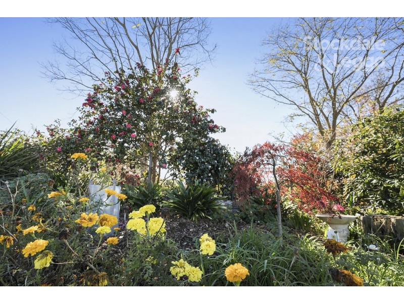 3-5 Ridgeway Street, Leongatha VIC 3953