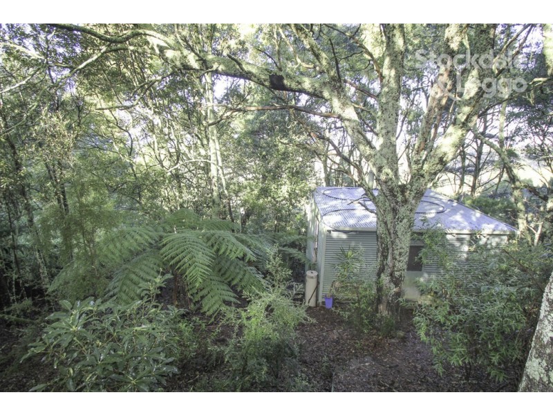 3320 South Gippsland Hwy, Foster North VIC 3960